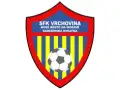 SFK Vrchovina B