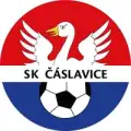 Čáslavice